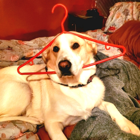 Meet your Posher, Jade - Picture 1 of 1